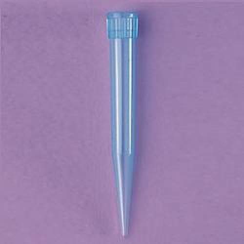 Pipette Tips